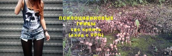 молекула духа Абаза