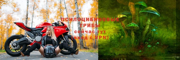 каннабис Алзамай