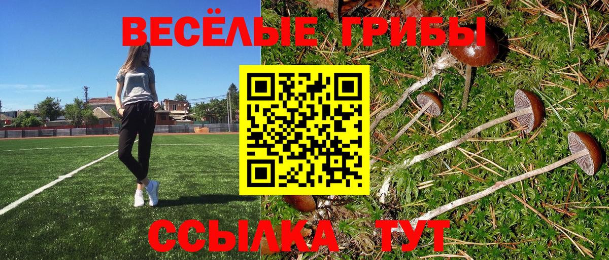 Советская Гавань  Галлюциногенные грибы MAGIC MUSHROOMS  Вход с VPN 