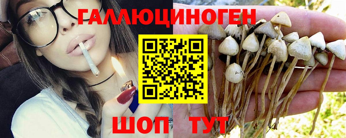 Галлюциногенные грибы прущие грибы Советская Гавань